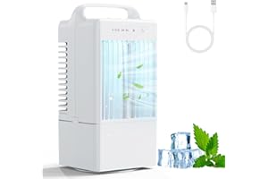 DAONEG Condizionatore Portatile,Raffreddatore d'aria Silenzioso,4 in 1 Climatizzatore Portatile con 90° Oscillazion,3 Velocità,Modalità di Spray, Timer 2/4H,Climatizzatore 900ml per Casa Ufficio Campeggio