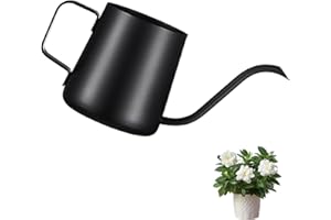RONMOSNEA 350 ml, czarna konewka, mała roślina pokojowa, mini konewka, ze stali nierdzewnej, długi wylot do podlewania, do roślin pokojowych, sukulentów