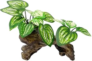 Smoothedo-Pets Decoraciones de pecera, adornos de decoración de acuario, almohadilla de hoja betta, hamaca/adornos de madera flotante (tipo C) (GZDY)