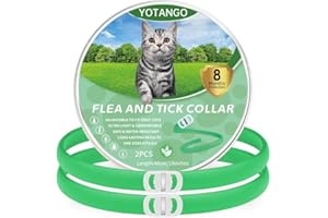 YOTANGO Collier Anti Puces pour Chat, Collier Anti Puces et Tiques pour Chats Imperméable, Collier Anti Puce Chat Réglable 8 Mois de Protection Naturelle Anti Tique pour Chaton Moyen et Grand Chats-Vert 2Pcs