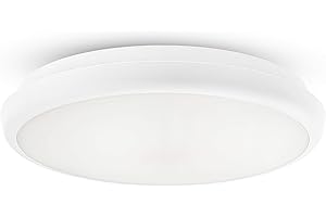 HUBER DL 16 LED Ceiling Light for Indoor/Outdoor Use 1500 lm 16 W I IP54 Protected LED Ceiling Light Suitable as Bathroom Light, Hallway Light, Cellar Light