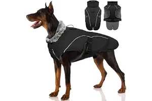 Abrigo Perros Invierno, Chaqueta Impermeable Perro Chaleco Cálida para Niev Traje Anti-Nieve Ropa de Invierno con Forro Polar & Reflectantes Tiras para Perros Pequeños Medianos y Grandes(Negro, L)