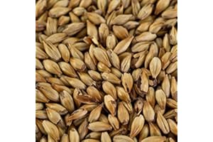 WEYERMANN 1kg Caramelmalz Carared® für Braunbiere EBC 40-50