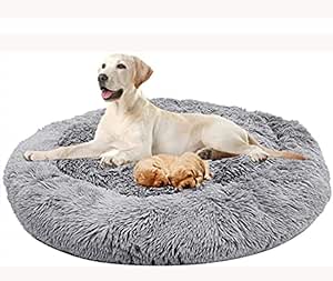 kong dog beds amazon