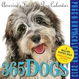 Image de 365 Dogs Page-A-Day Calendar 2013