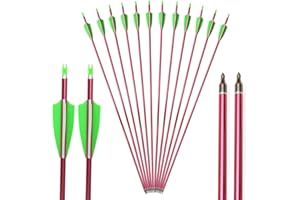 AMEYXGS Archery Aluminum Arrows 32 Inch Hunting Bow Arrows and Targeting Practice Arrows Spine 500 with Screw-in Arrowhead for Compound Bow and Recurve Bow