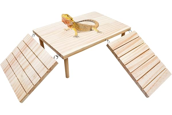 Dnoifne Plateforme de Baignade pour Dragon Barbu, Abri en Bois avec Rampe d'escalade, Accessoire pour Aquariums et Terrariums, Adapté aux Lézards, Geckos, Tortues et Hamsters