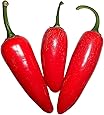 Jalapeno Pepper 10 Samen (Massenträger) von Samenchilishop