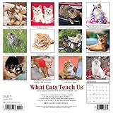 Image de What Cats Teach Us 2017 Calendar: Life's Lessons Learned from Our Feline Friends