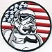 Produktbild USA Fahne Star Wars TROOPERS Startrek Uniform Kostüm Patch Aufnäher Abzeichen