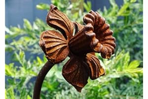 GAP GARDEN PRODUCTS Outdoor Metal rust garden Daffodil Plant Stake/support,garden art (5ft Tall -152cm) Pack of 3