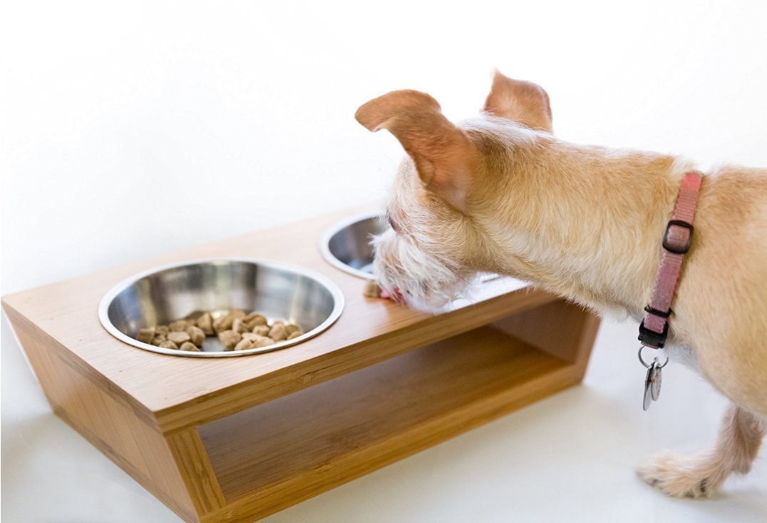 3 Ciotole Petacc Alzato Ciotola Per Cani Alzata Ciotola Per Cani Cibo Per Gatti Combinato Con Supporto In Bambu E 3 Ciotola In Ceramica Ciotole E Distributori Prodotti Per Animali Domestici Nsb Group Com