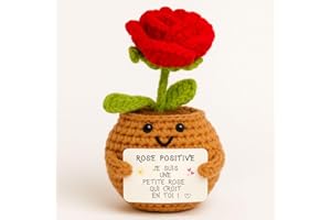 PATATE POSITIVE Rose Rouge Positive© | Cadeau Amour & Tendresse | pour Elle | I Love You | Idee & Surprise Romantique | Fete Anniversaire & Merci | Femme Fille Copine Maman Mere Amie Couple | Deco Maison Handmade