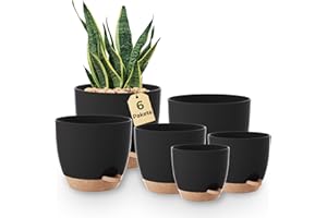 ‎BAMWORLD Bamworld Blumentöpfe 6 Set Selbstbewässernd Schwarz 20.3cm/17.8cm/16.5cm/15.2cm/14cm/12.7cm Blumentopf Pflanzentopf mit Untersetzer,Anzuchttöpfe,Zimmerpflanzen,Fensterbank deko