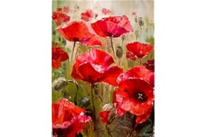 Meecaa Malen nach Zahlen Mohnblumen-Kit für Erwachsene Anfänger DIY Ölgemälde 40,6 x 50,8 cm (Blume 3, gerahmt)