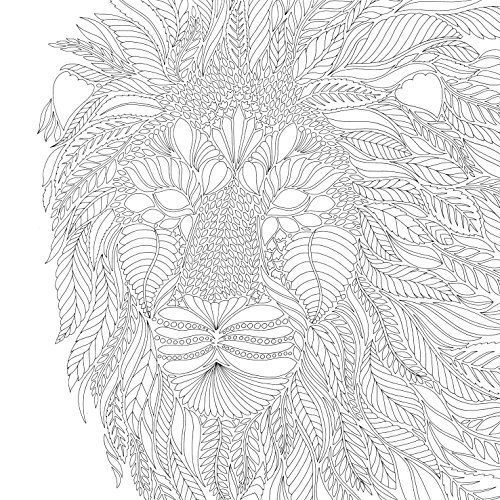 Millie Marotta's Wild Savannah: A Colouring Book Adventure (Colouring Books)