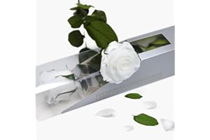 GDECORA Rosa Preservada Blanco de Ecuador, Rosa Natural Preservada con Tallo 35cm Regalo para Mujer, Ideas para Sant Jordy, Día de la Madre y Cumpleaños, Ramos y Detalles Románticos (Pure White)