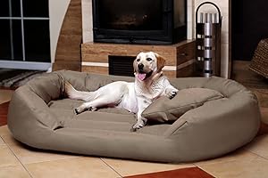 tierlando Komfort Hundebett Sammy | Robuster Polyester | Dicke Umrandung | L - XXXXL Hundesofa Größe: S5 | Farbe: 34 Beige Dunkel
