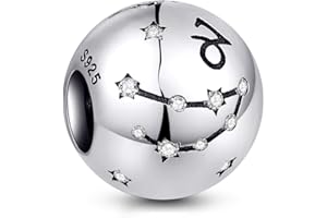 NINGAN Breloque en argent sterling 925 pour anniversaire 12 signes du zodiaque - Cadeau d'anniversaire idéal pour les femmes et les amis