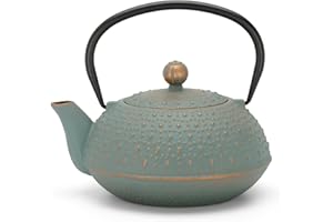 BREDEMEIJER Piccola teiera in ghisa da 0,9 litri a induzione, teiera asiatica blu con manico e filtro in acciaio inox, inserto per filtro da tè, ideale per tipi di tè sfusi