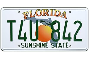 CELEBRITY MACHINES 2 Fast 2 Furious | T4U 842 | Metal Stamped License Plate