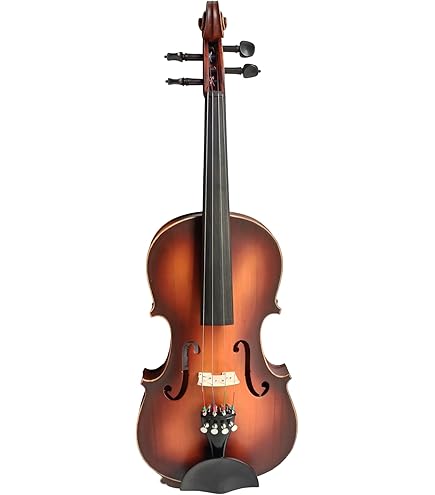 Hertz VP-01 Laminated Linden Violin- 4/4 : Amazon.in: Musical