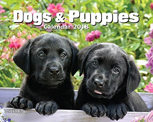 Dogs &amp; Puppies Calendar 2018 - Cameracolour Series