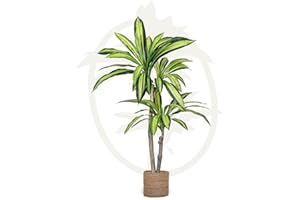 Maia Shop Dracena Artificiale da 105 cm per la Decorazione di Casa e Ufficio, Albero, Pianta Artificiale Decorativa Iperrealistica, Pianta Tropicale