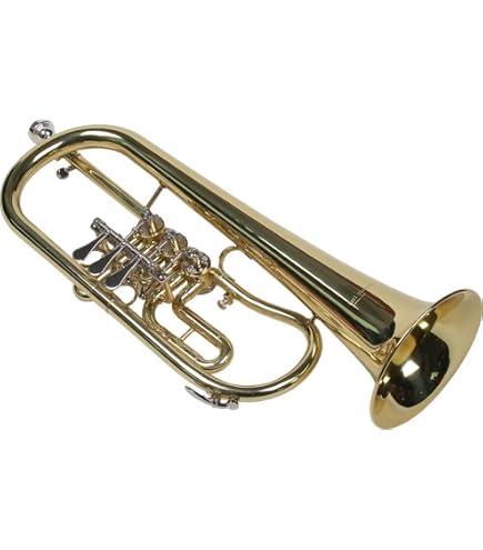 Bugle Bb Lechgold FH-60GV - Bronze Phosphoreux, Pavillon 152 Mm, Pistons Acier, étui Inclus, Look Vintage - 10