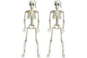 ZHITENG 2 stycken halloween skelett dekorativa, realistiska skelett | Halloween med rörliga leder skelett dekoration, för rekvisita fest dekoration läskig