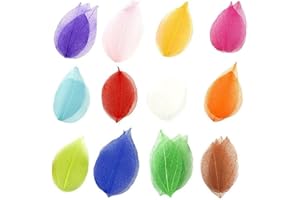 DANLAI 36 Pezzi Naturali Foglie di Foglie di Foglie Asciutte Foglie Scrapbooking Artigianato Scheda di Nozze di Materiale di Nozze Color Colore