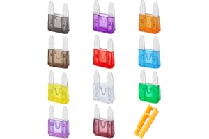 JatilEr Juego de fusibles planos 30A, 2A-40A, con extractor para coches, caravanas, camiones, motocicletas