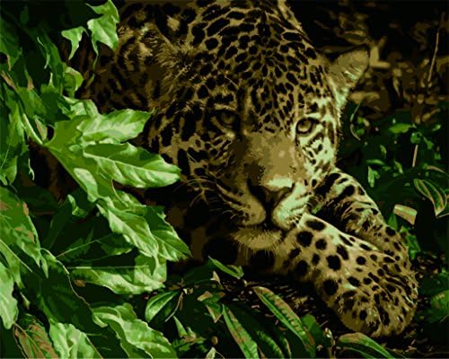 [ Wooden Framed or not ] [ New Release ] Diy Oil Painting by Numbers, Paint by Number Kits - Leopard 16*20 inches - Digital Oil Painting Canvas Wall Art Artwork Landscape Paintings for Home Living Room Office White Christmas New Year Valentine Decor Decorations Gifts - Diy Paint by Numbers Diy Canvas Kit for Adults Advanced Children Seniors Junior - New Arrival