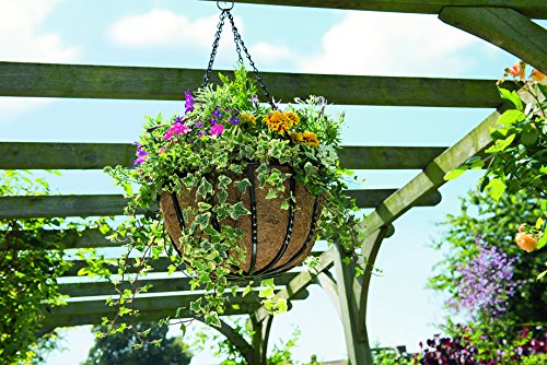 Gardman Schmiedeeiserne Blumenampel, 40 cm - 9