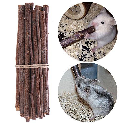 Eichhörnchen Tree Zweige, Holz Kauen Spielzeug für Hamster Ratten Mäuse Rennmäuse Kleine Tiere - 5