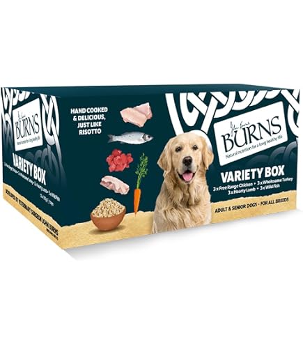 Burns Penlan Farm Tray Hundefutter Lamm & Gemüse - 12 Schalen à 150 G, Für Erwachsene Hunde & Senioren