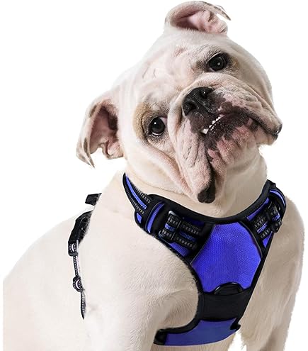Julius K9 - IDC Hondentuig Longwalk Zwart Grijs Julius K9 - IDC Hondentuig Longwalk Zwart Grijs