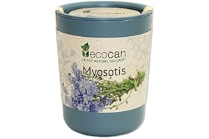 Feel Green Ecocan, Myosotis, Idée Cadeau (100% Biodégradable), Grow-Your-Own/Kit Prêt-à-Pousser, Le Pot Écologique Qui Croît 9 x 7 cm
