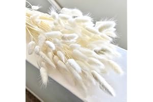 SONGJUM 120Pezzi Bunny Tails Bouquet Coda Di Coniglio Naturale Bouquet Di Fiori Secchi Di Erba Di Pampa per Fiori Secchi Decorazione Camino Casa Cucina Chiesa Tavolo Decorazione Boho Nozze Decor（Bianco）