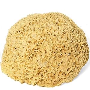 Badeschwamm und Duschschwamm Natur: Amazon.de: Beauty