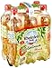 Produktbild Rheinfels Quelle Gartenfrüchte Pfirsich Einweg, 6er Pack (6 x 750 ml)