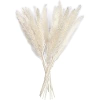 15 Stück Pampasgras Getrocknet Deko, Trockenblumen Vasen Getrocknete Blumen 60cm, Blumenstrauß Boho Deko DIY für…