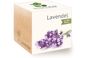 Feel Green Ecocube Lavande Bio Velours Longue Durée Idée Cadeau (100% Eco Friendly), Grow Your Own/Culture, Plantes en Bois Fabriqué en Autriche