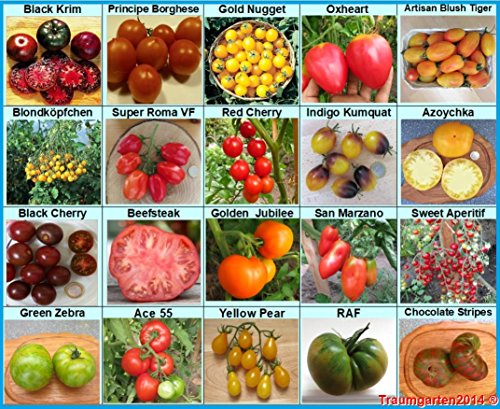Tomaten Set 1: Tomatensamen 20 Arten je 10 Samen alte Sorten Saatgut Fleischtomate Cherrytomate Cockteiltomate Rispentomate Freilandtomate
