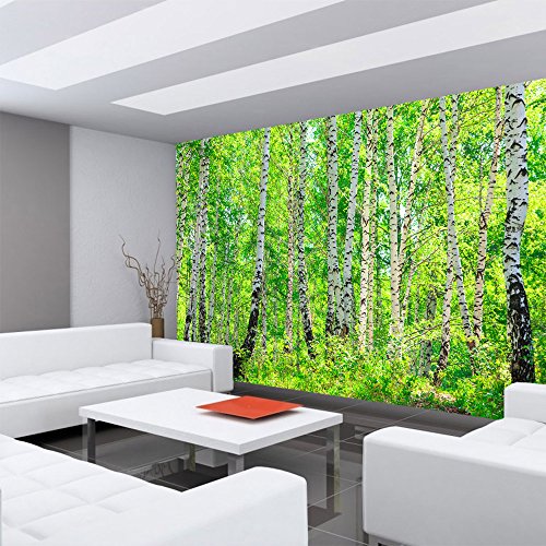 Fototapete Wald – ALLE WALDMOTIVE auf einen Blick ! Vlies PREMIUM PLUS – 200×140 cm – BIRCH FOREST – Birkenwald Bäume Wald Sonne Birkenhain Birke Birken Gras Natur Baum – no. 007 - 6