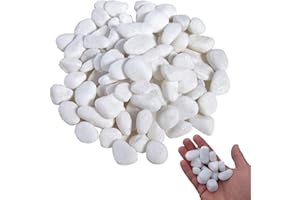 VIQIHEOE Galets, 2-4 cm Galets Blancs de Jardin, 1kg Galets Décoratifs pour Vases, Pierres de Rivière Plantes, pour L'aménagement Paysager, la Décoration de la Maison, L'artisanat, les Projets Artistiques