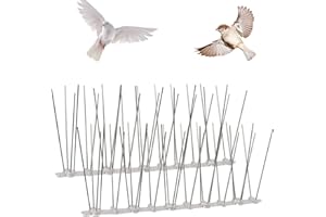FASBET 2m Bird Spikes for Pigeons Anti Pigeon Spikes Clear Bird Spike Anti Bird Spikes Stainless Steel Bird Deterrent Spikes Garden Deterrent for Gardens Small Birds Cat Balcony