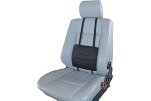 Big Ant Cuscino lombare, cuscino di supporto lombare ortopedico per parte bassa della schiena, coccige, sollievo dell'anca - Cuscino per sedile posteriore per auto, ufficio e sedia a rotelle