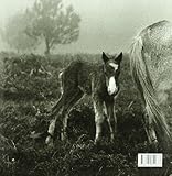 Image de Cristina Garcia Rodero: Transtempo