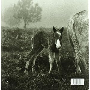 Transtempo (Libros de Autor)